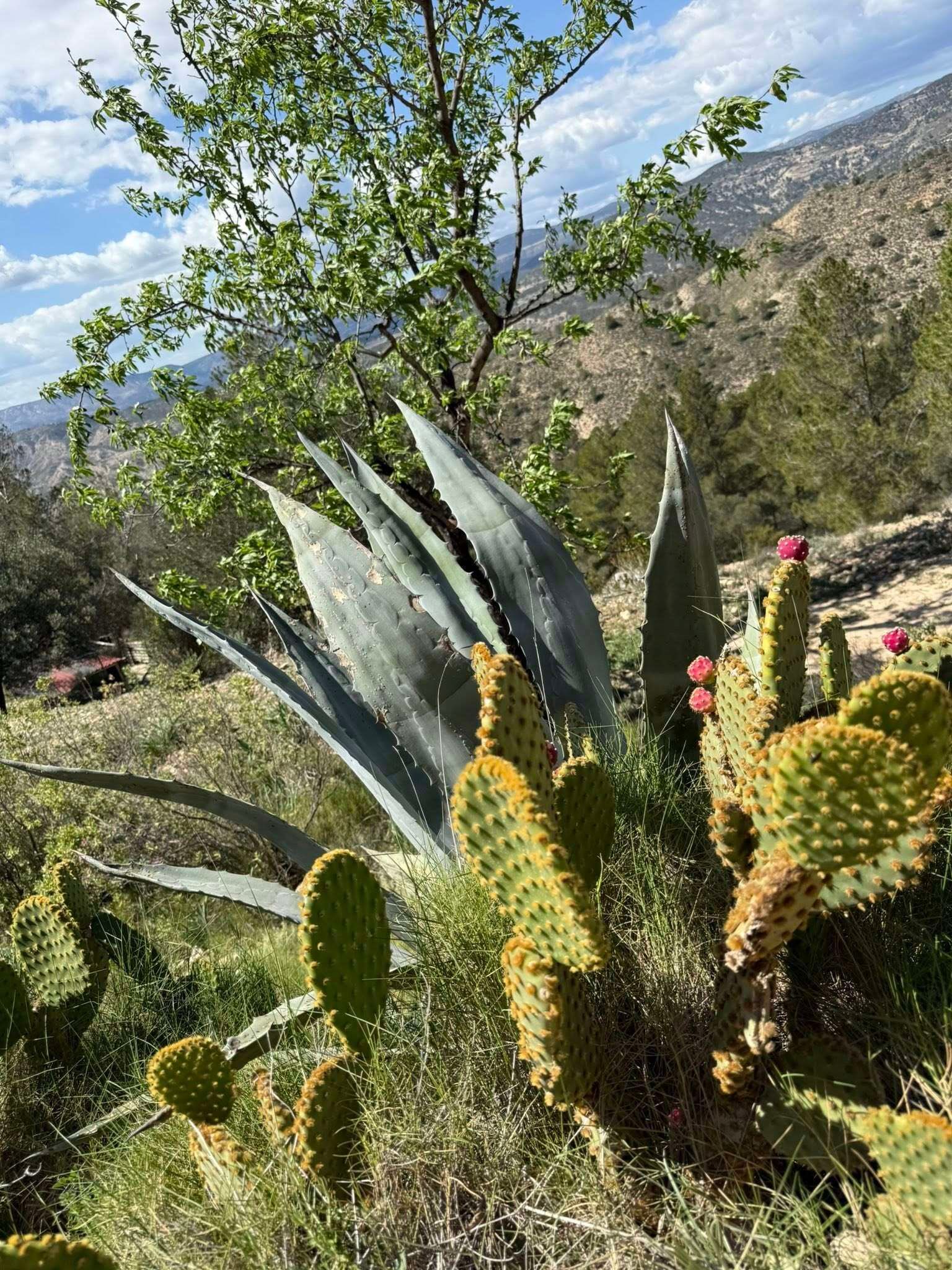 489952631_122111879438813693_3745679231399580305_n