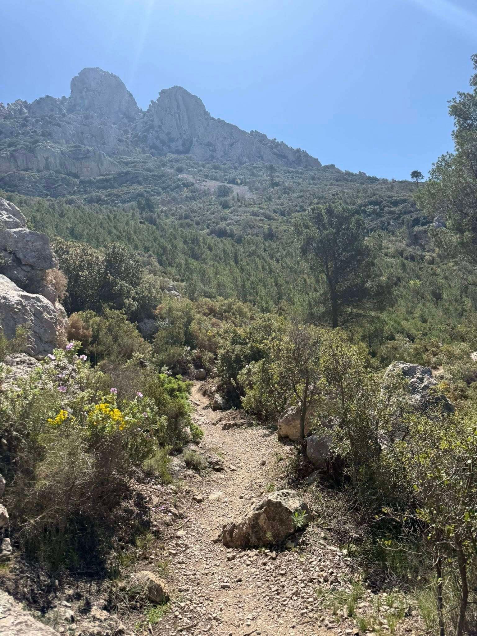 490263110_122111879240813693_2876099046229852268_n